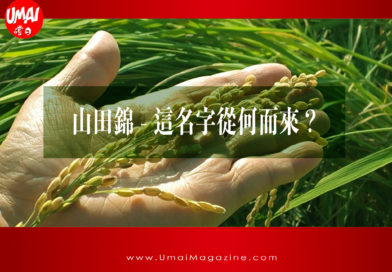 【UMAI Sake】山田錦 – 這名字從何而來？