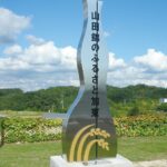 山田錦的江湖：特等與特 A 的一字之差