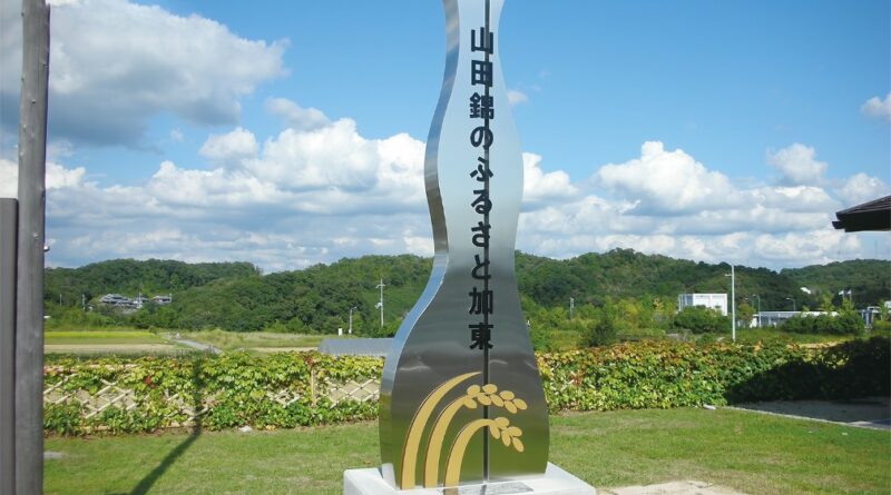 山田錦的江湖：特等與特 A 的一字之差